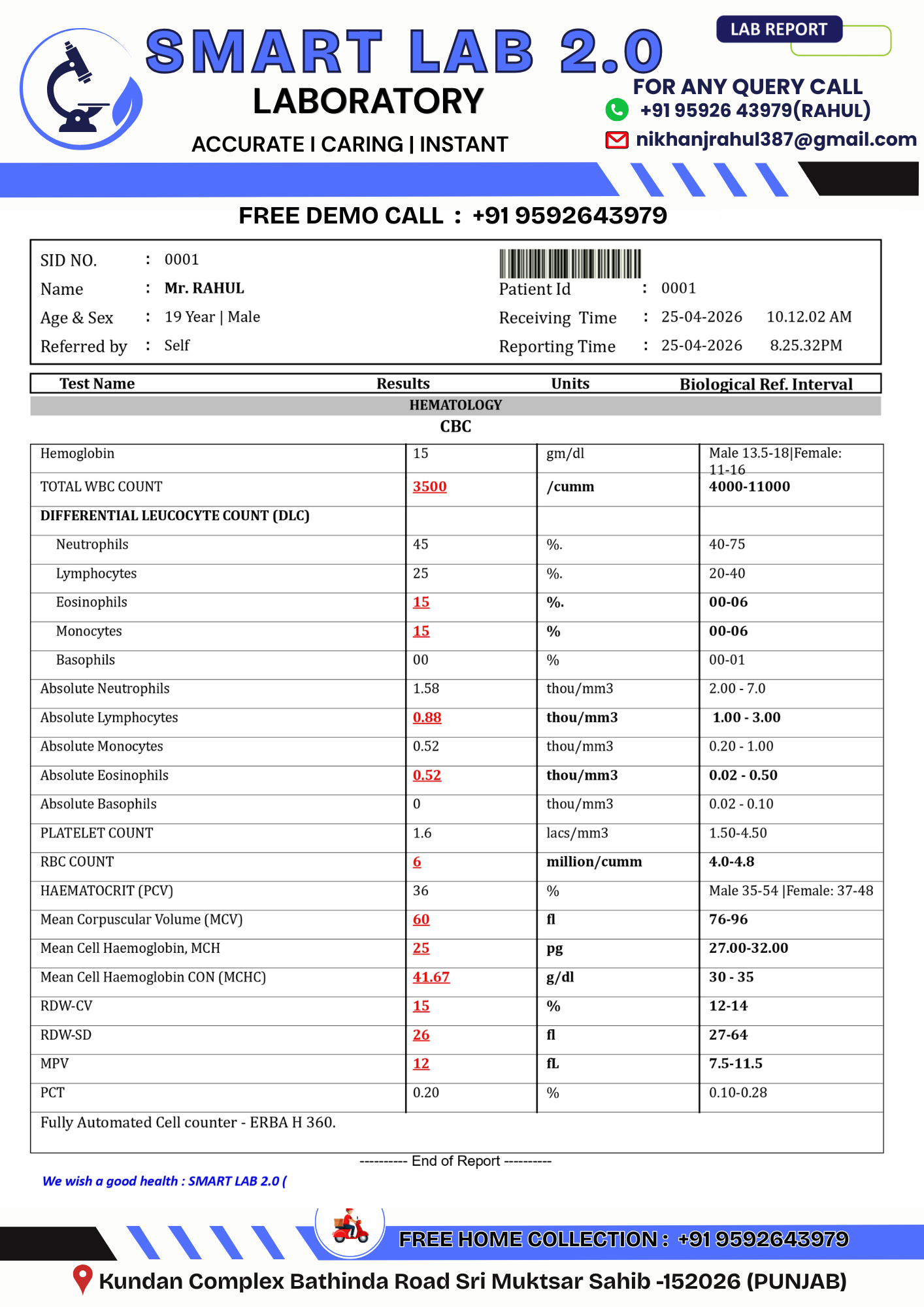 Format 8